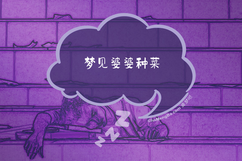 梦见婆婆种菜