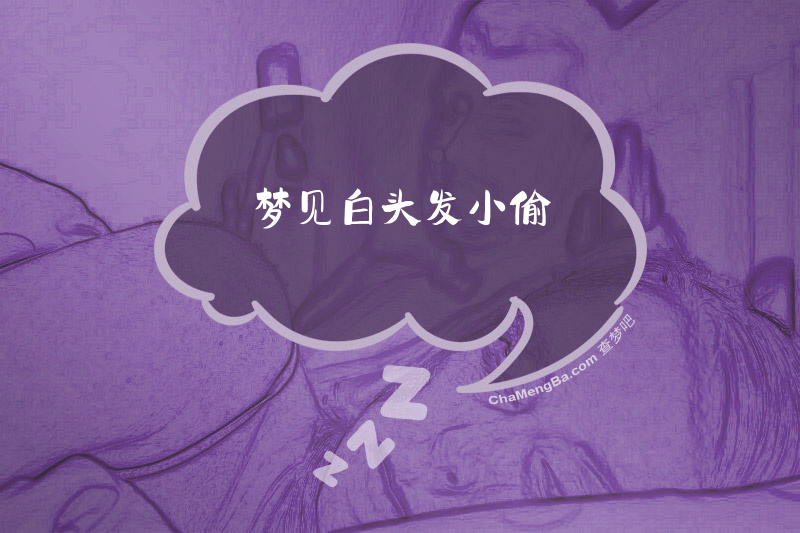 梦见白头发小偷