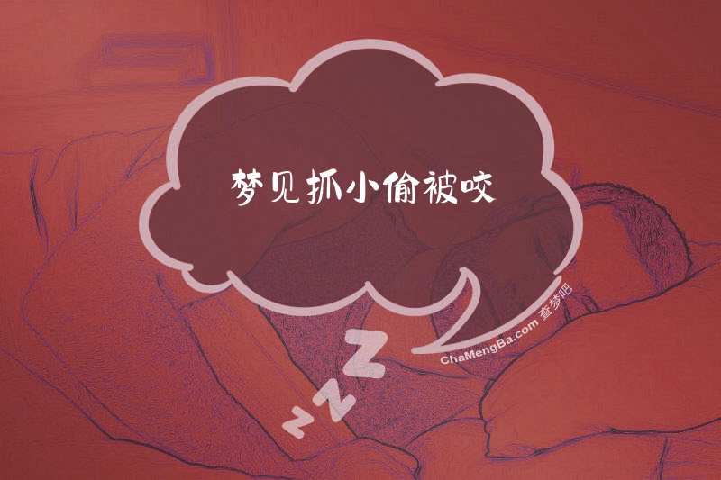梦见抓小偷被咬