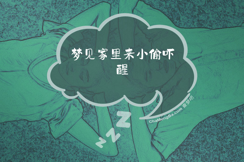 梦见家里来小偷吓醒