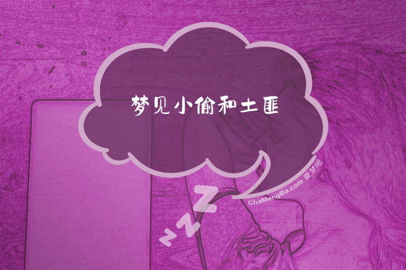 梦见小偷和土匪