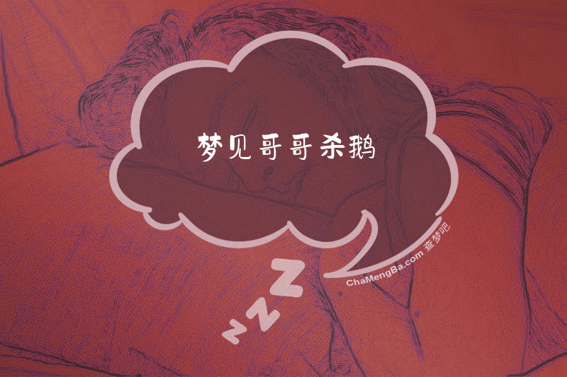梦见哥哥杀鹅