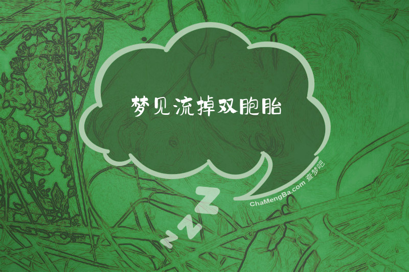 梦见流掉双胞胎