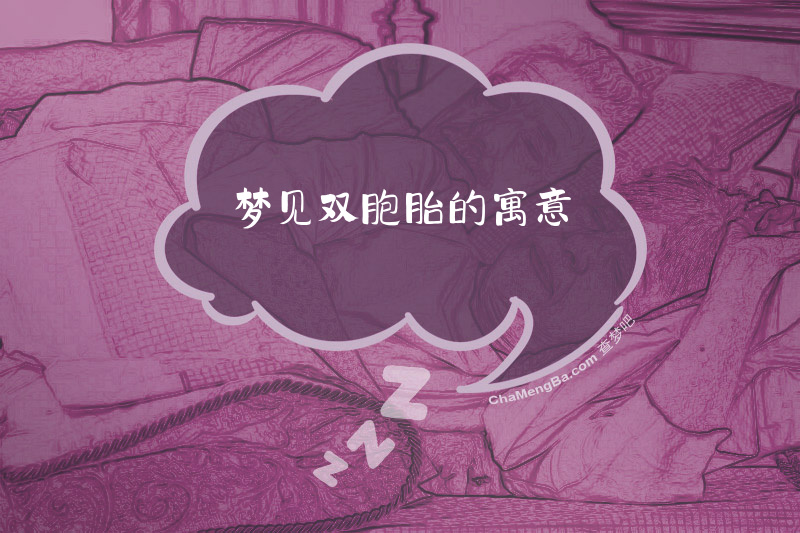梦见双胞胎的寓意