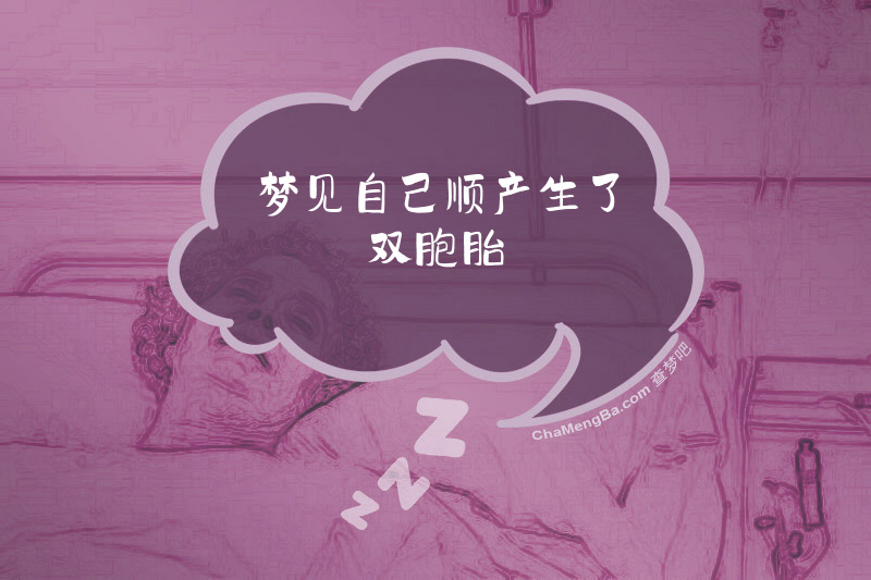 梦见自己顺产生了双胞胎