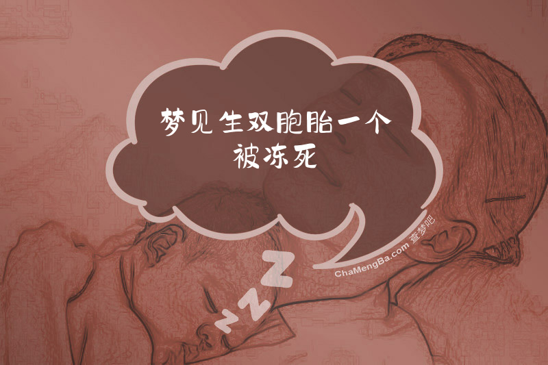 梦见生双胞胎一个被冻死