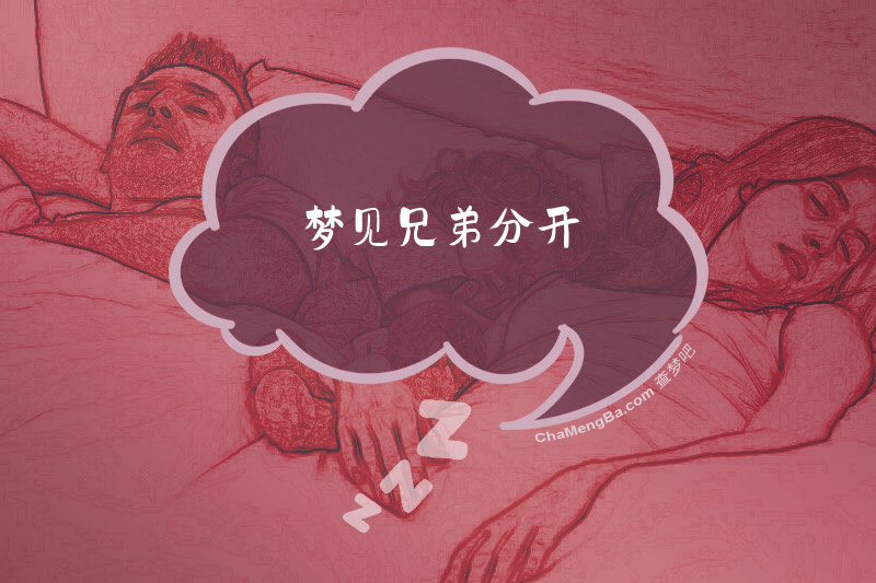 梦见兄弟分开