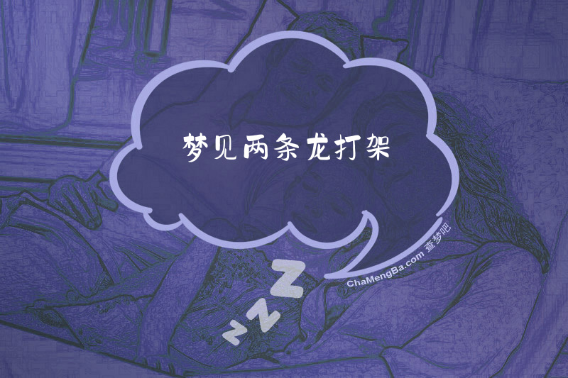 梦见两条龙打架