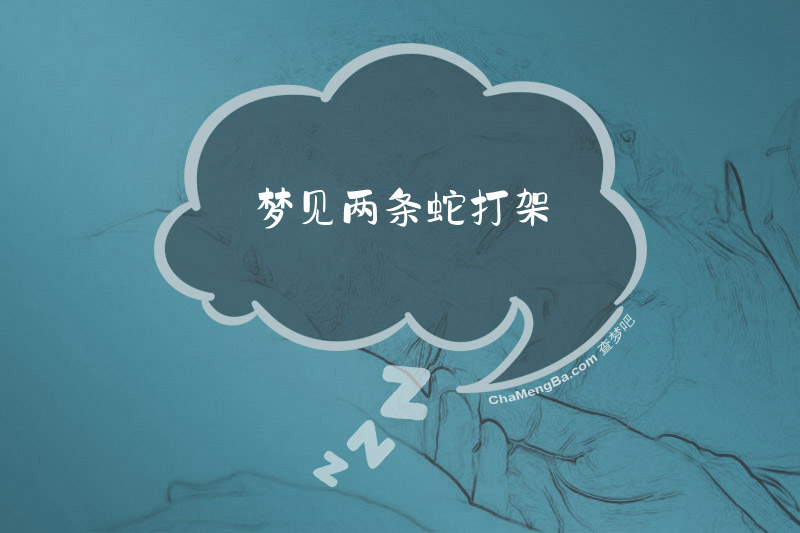 梦见两条蛇打架