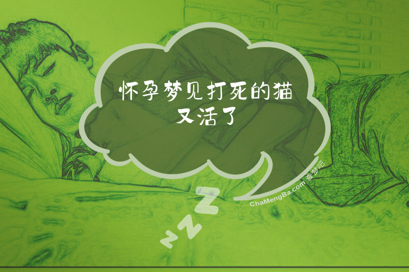 怀孕梦见打死的猫又活了