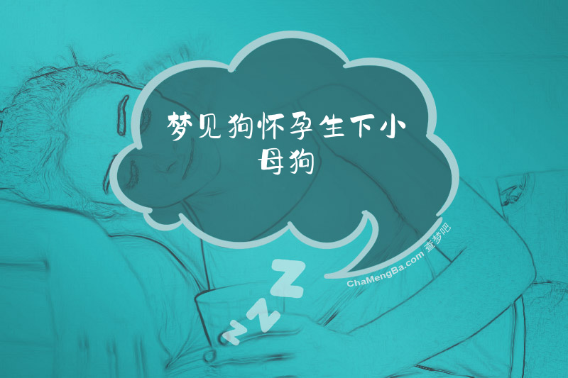 梦见狗怀孕生下小母狗