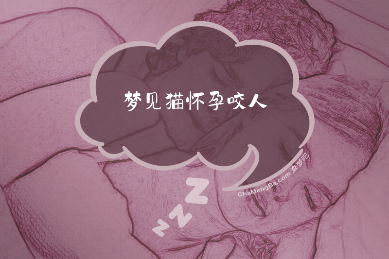 梦见猫怀孕咬人