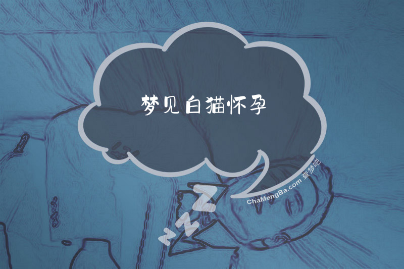 梦见白猫怀孕