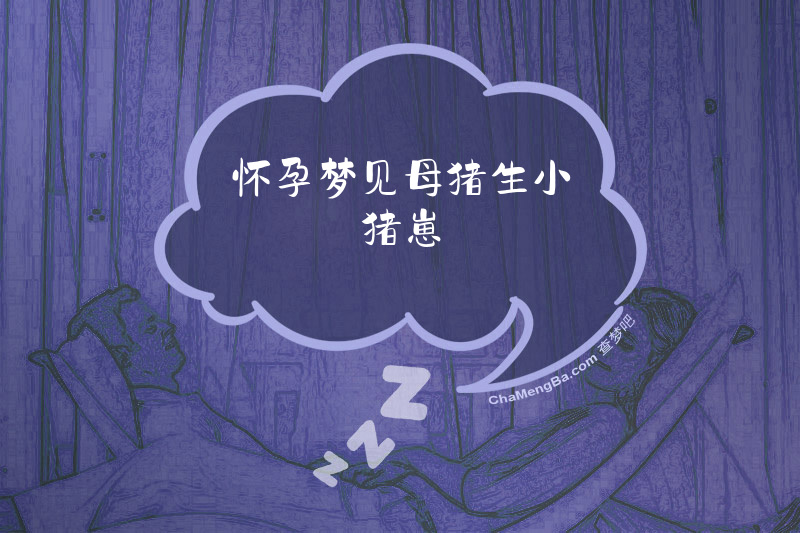 怀孕梦见母猪生小猪崽