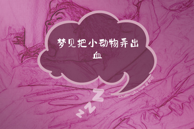 梦见把小动物弄出血