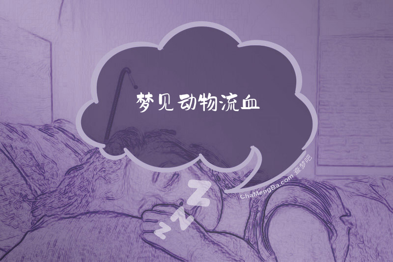 梦见动物流血