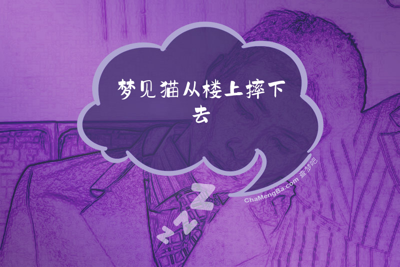 梦见猫从楼上摔下去