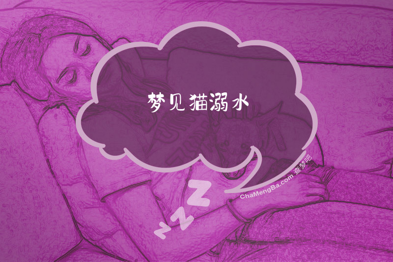梦见猫溺水