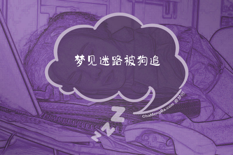 梦见迷路被狗追