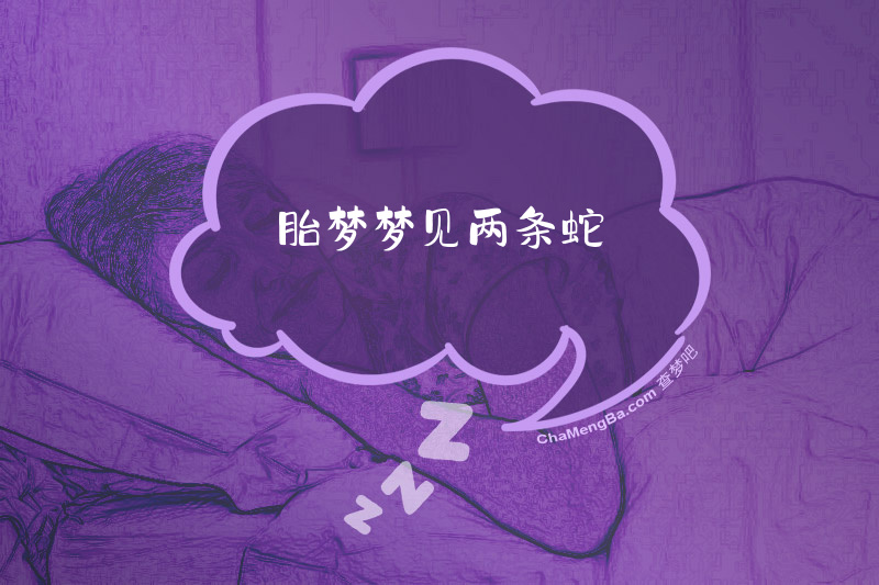胎梦梦见两条蛇