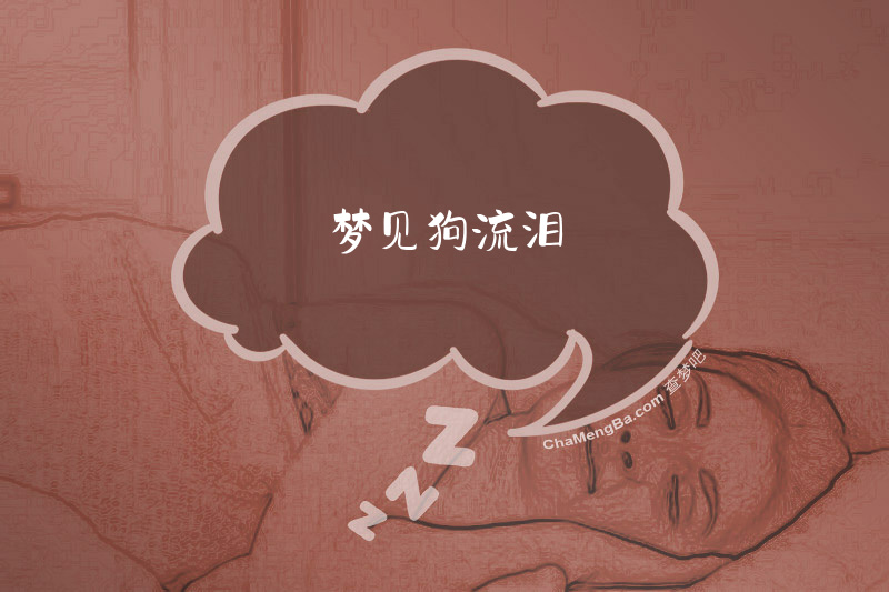 梦见狗流泪