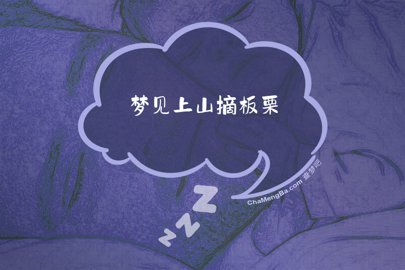 梦见上山摘板栗