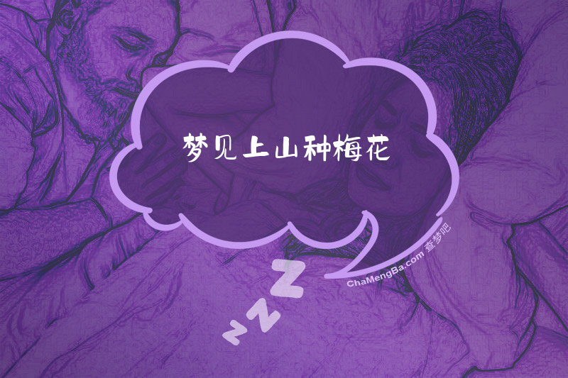 梦见上山种梅花