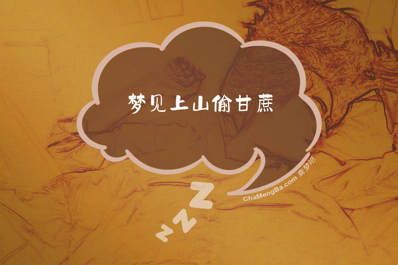 梦见上山偷甘蔗