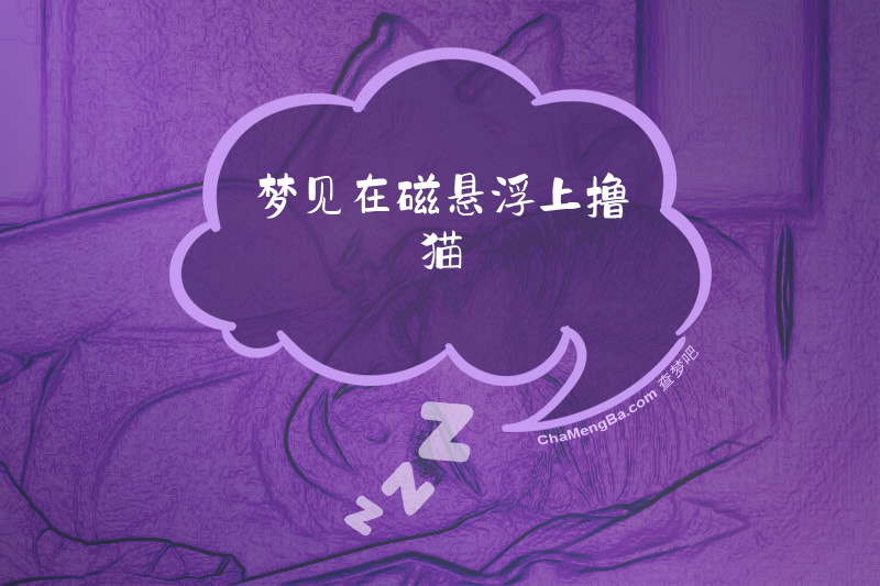 梦见在磁悬浮上撸猫