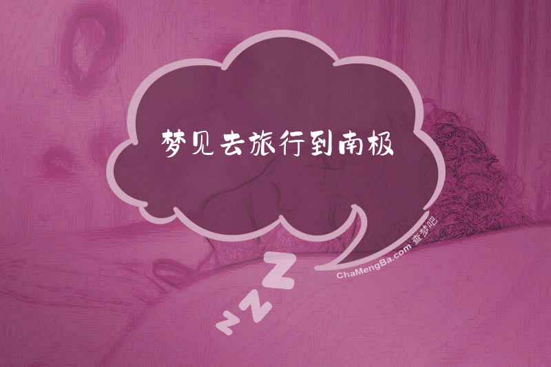 梦见去旅行到南极