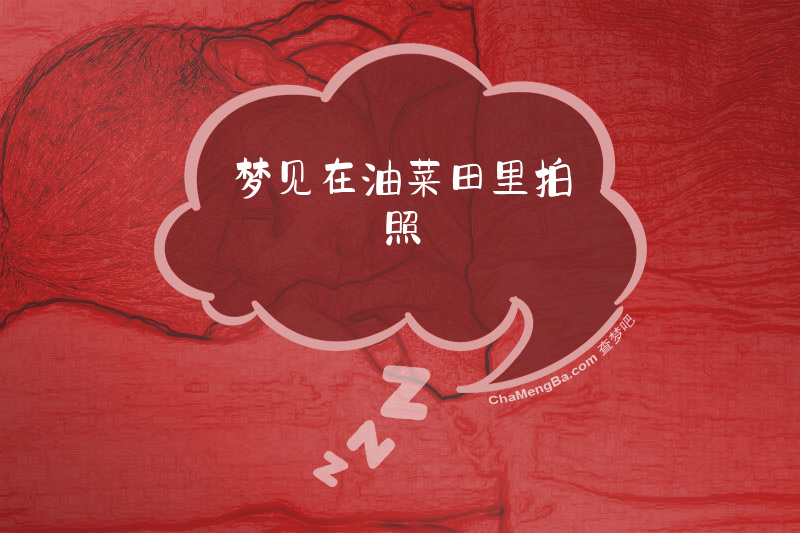 梦见在油菜田里拍照