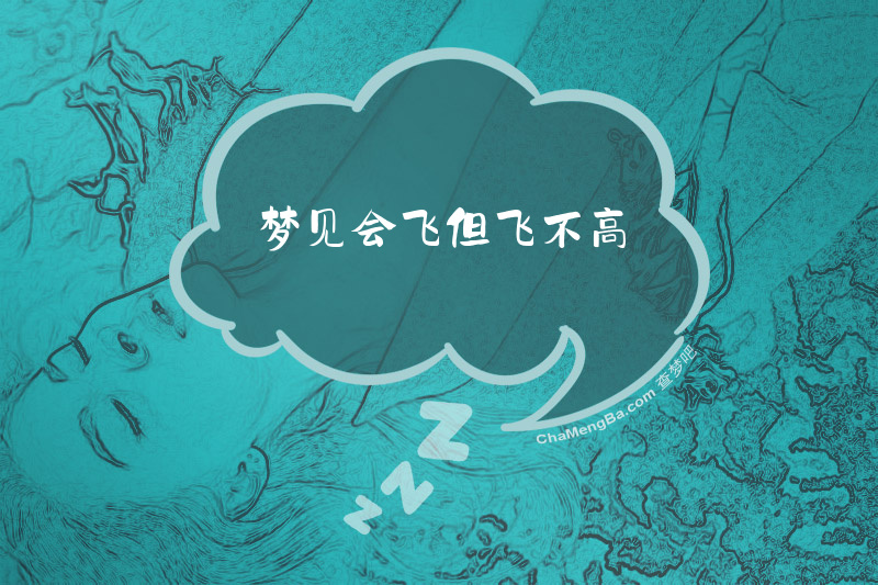 梦见会飞但飞不高