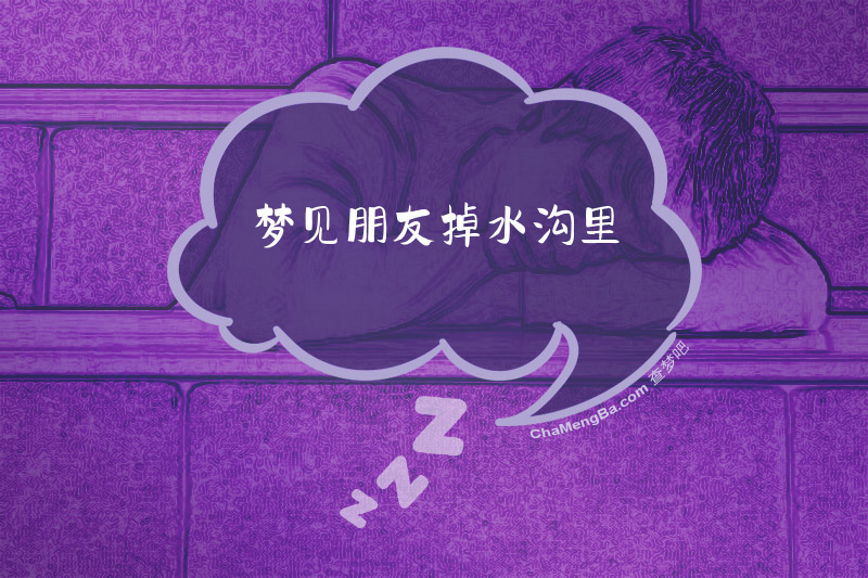 梦见朋友掉水沟里