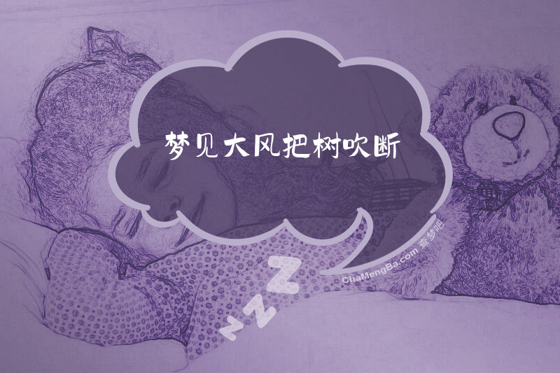 梦见大风把树吹断