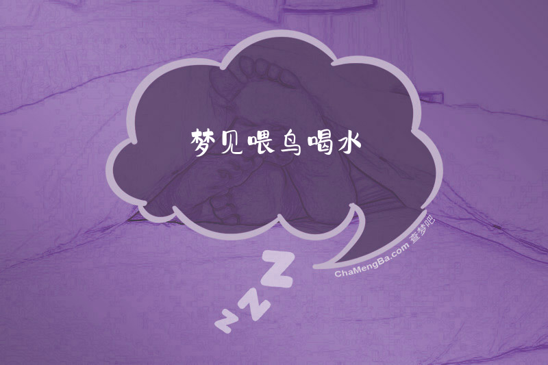 梦见喂鸟喝水