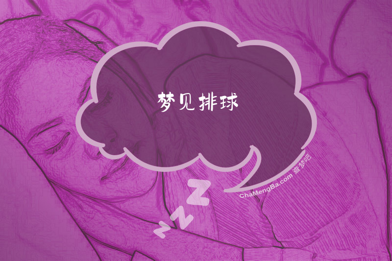梦见排球