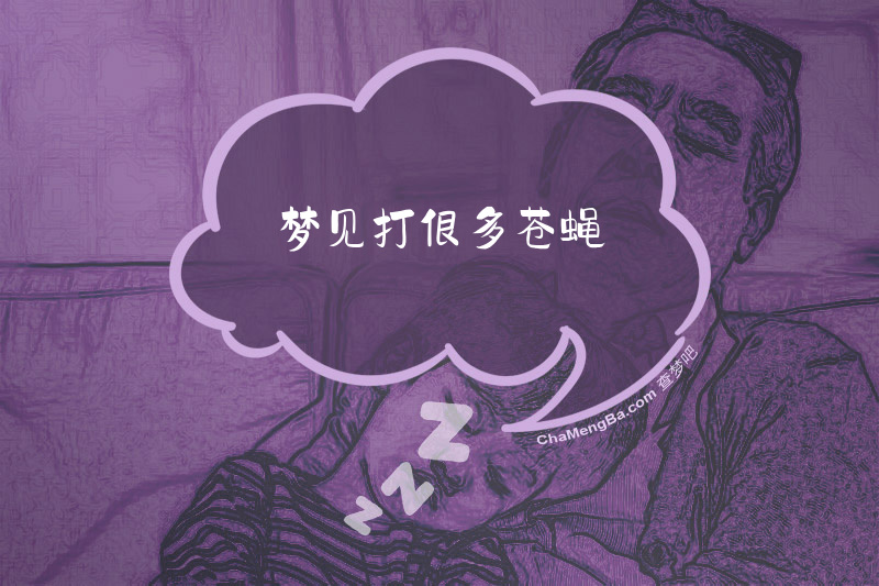 梦见打很多苍蝇