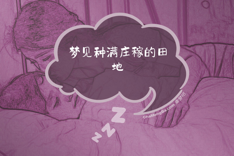 梦见种满庄稼的田地