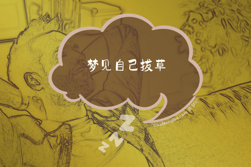梦见自己拔草