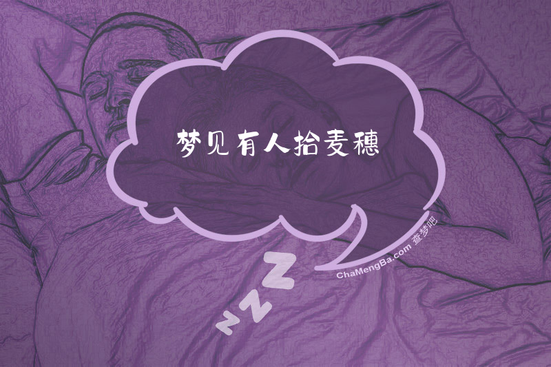 梦见有人拾麦穗