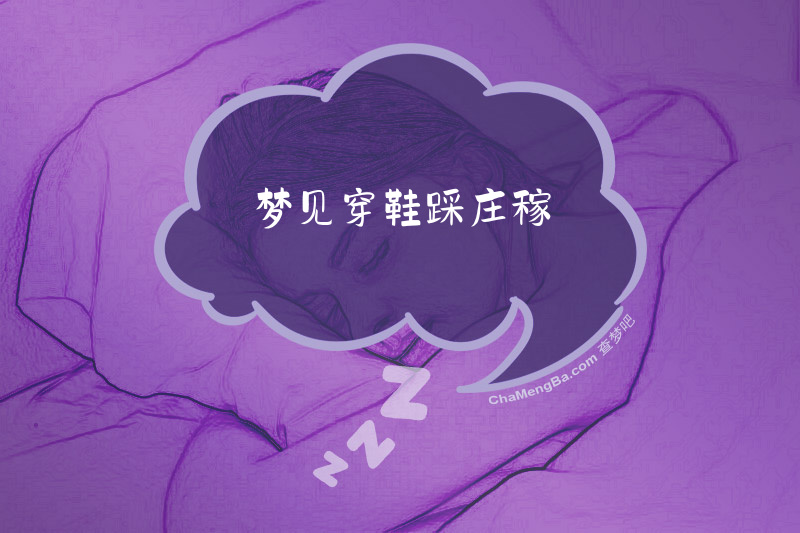 梦见穿鞋踩庄稼