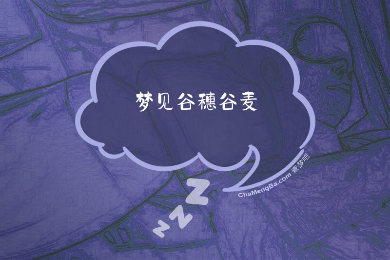 梦见谷穗谷麦