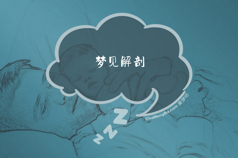 梦见解剖