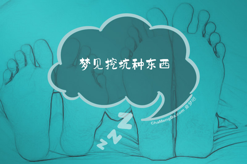 梦见挖坑种东西
