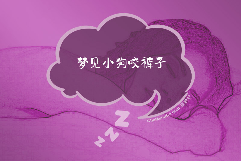 梦见小狗咬裤子