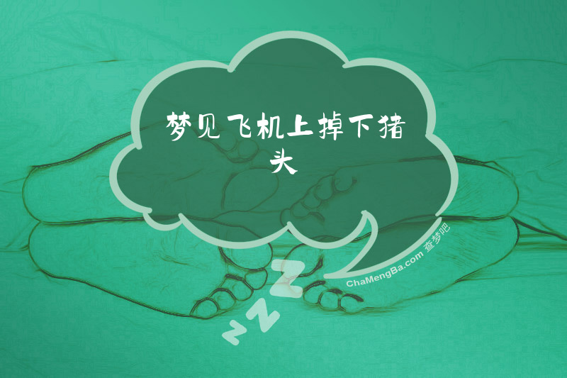 梦见飞机上掉下猪头