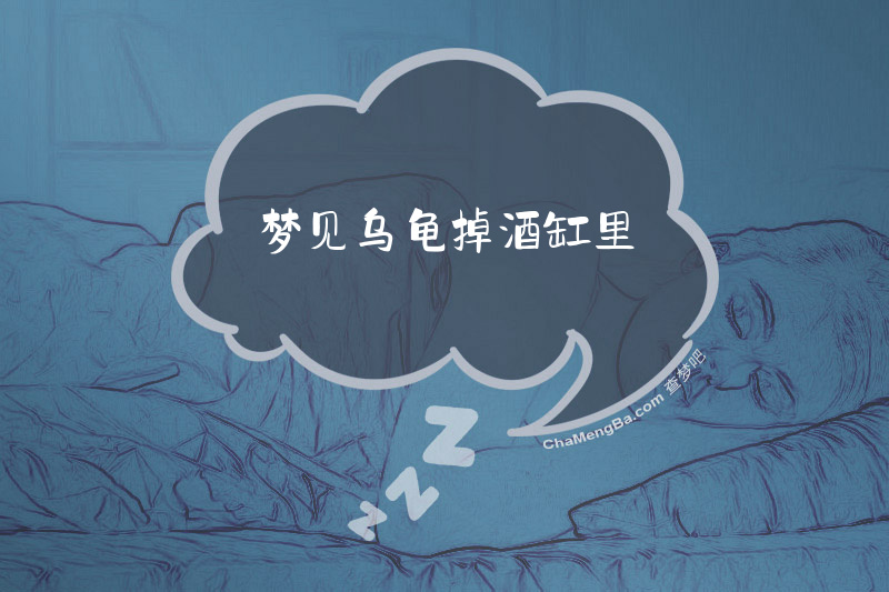 梦见乌龟掉酒缸里
