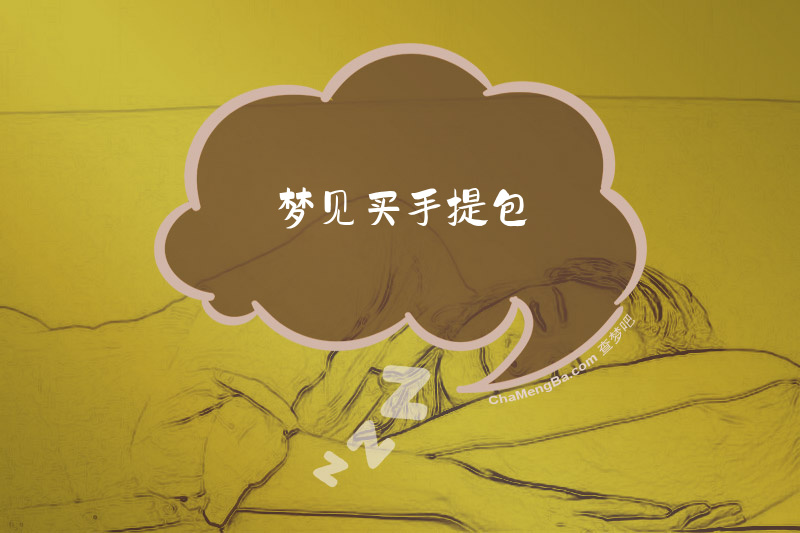 梦见买手提包