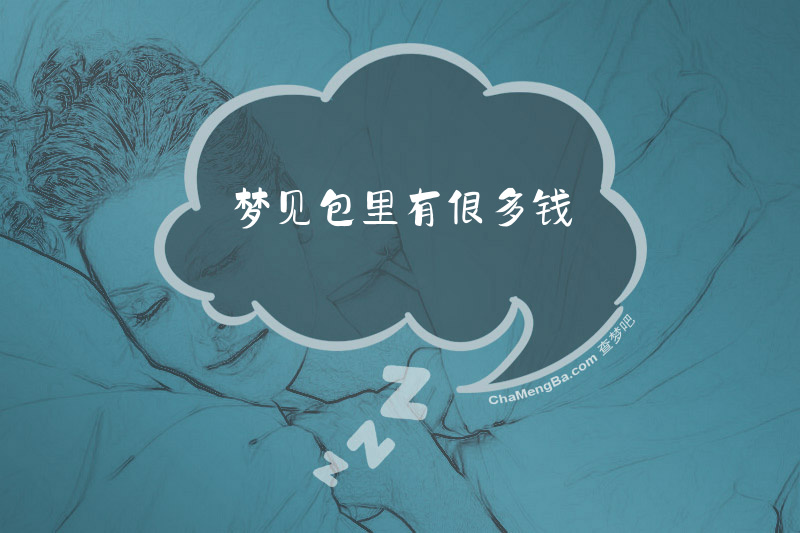 梦见包里有很多钱