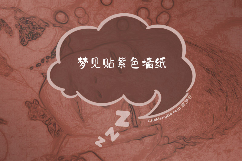 梦见贴紫色墙纸